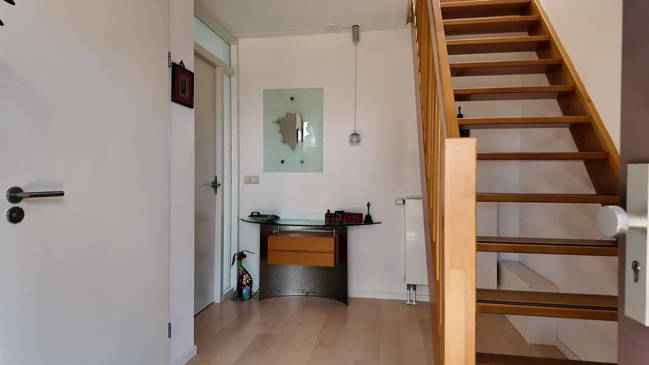 Video of Schimmelpennincksingel 2