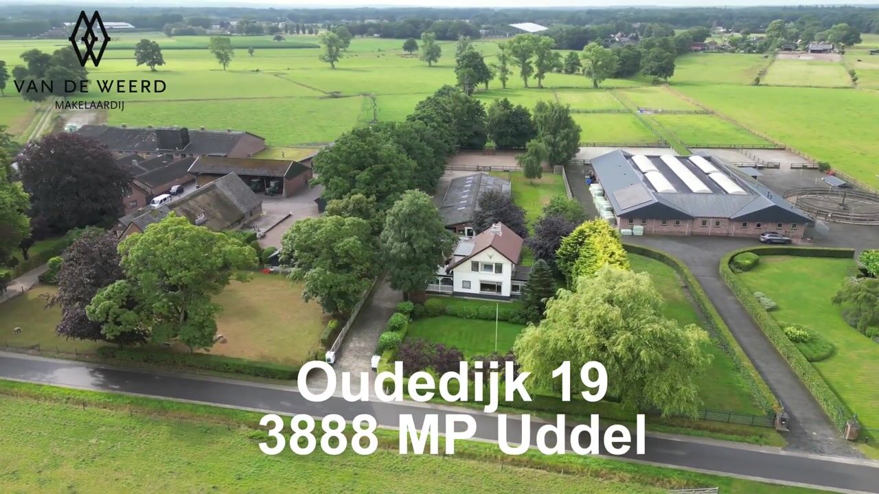 Video of Oudedijk 19