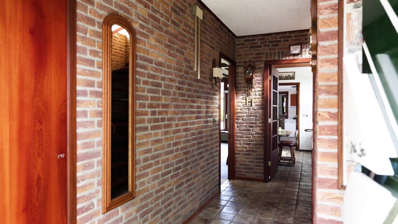 Video van Reitzstraat 33