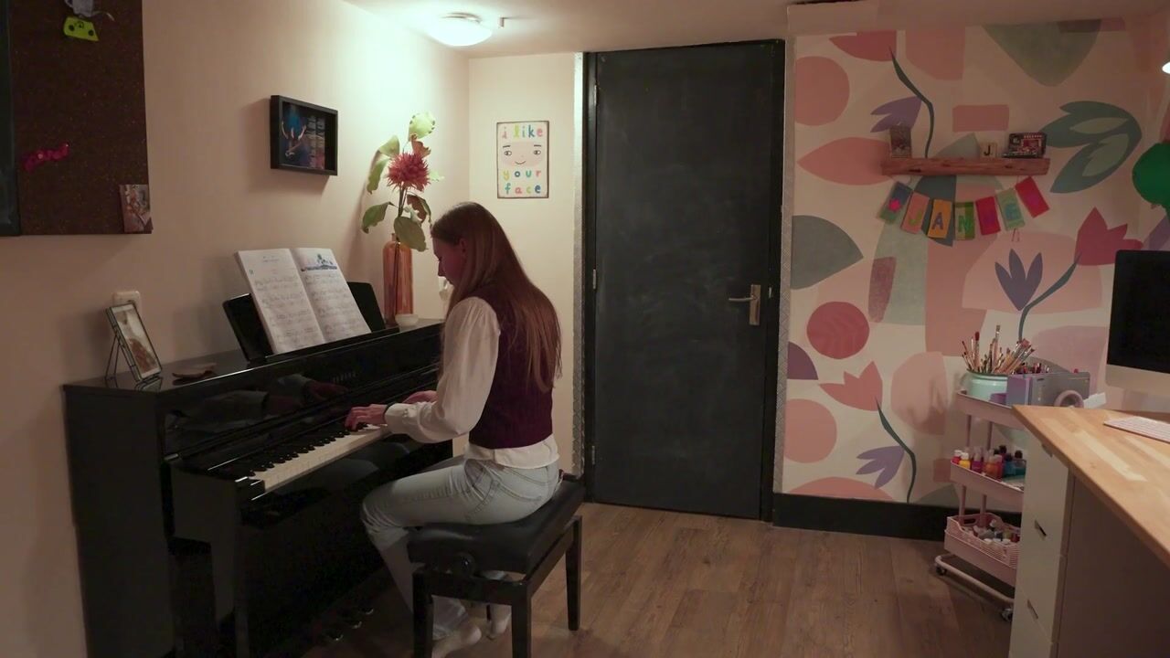 Video of Knipsteeg 11