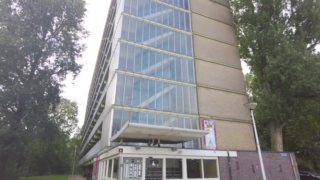 Video of Westervenne 211