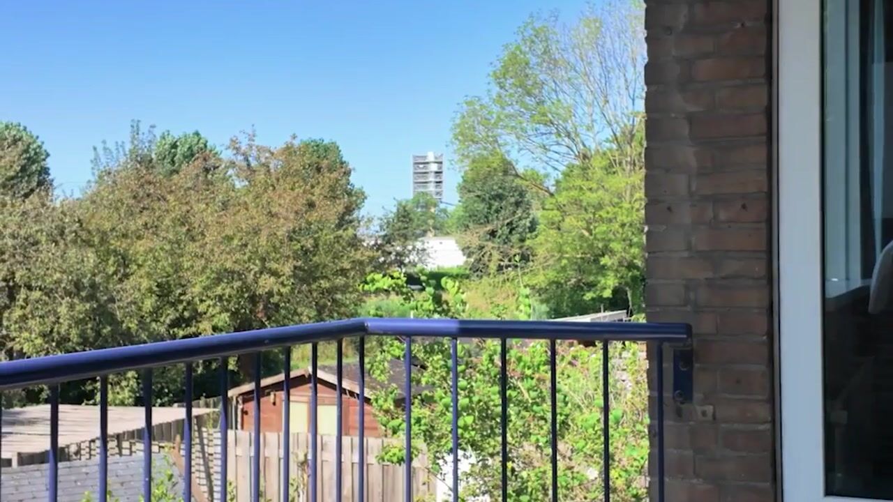 Video van Chirurgijnstraat 3