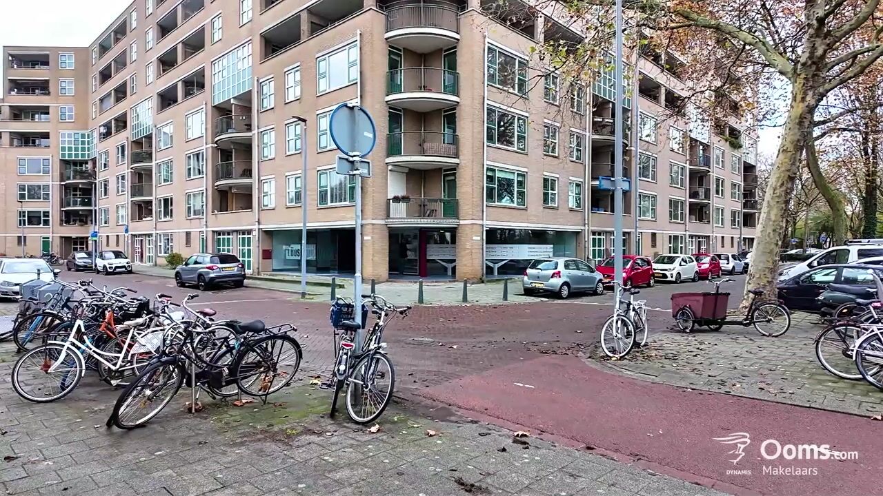 Video van Schapendreef 141