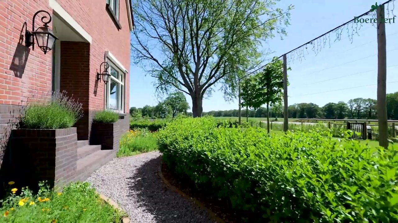 Video van Ter Maars 2