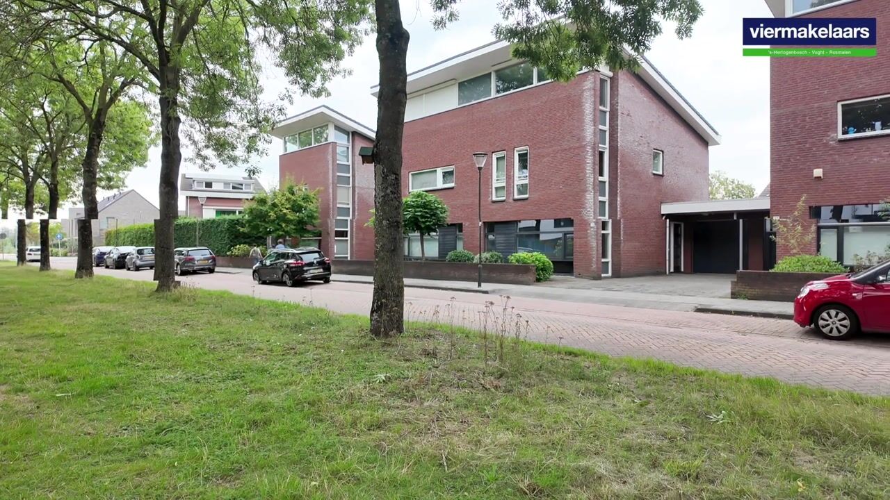 Video of Fluitenkruid 29