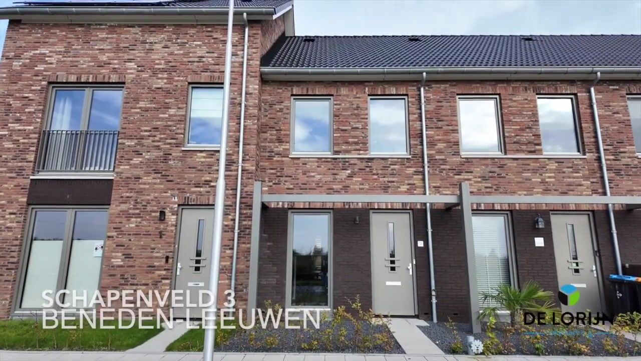 Video van Schapenveld 3