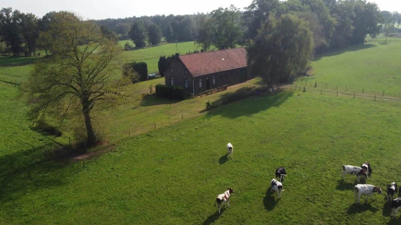 Bekijk video van Kruispeelweg 23