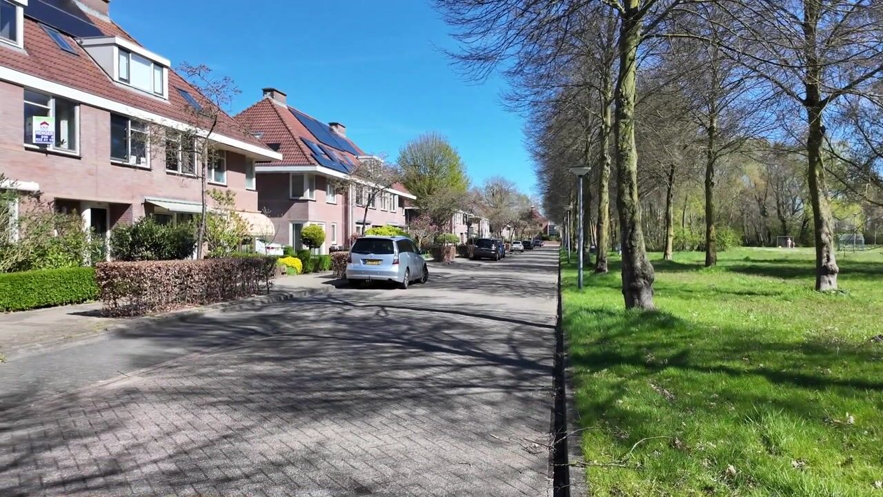 Video of Atalanta 49