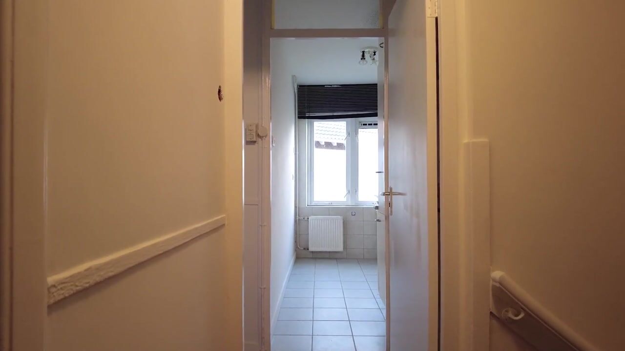 Video van Rijksstraatweg 317