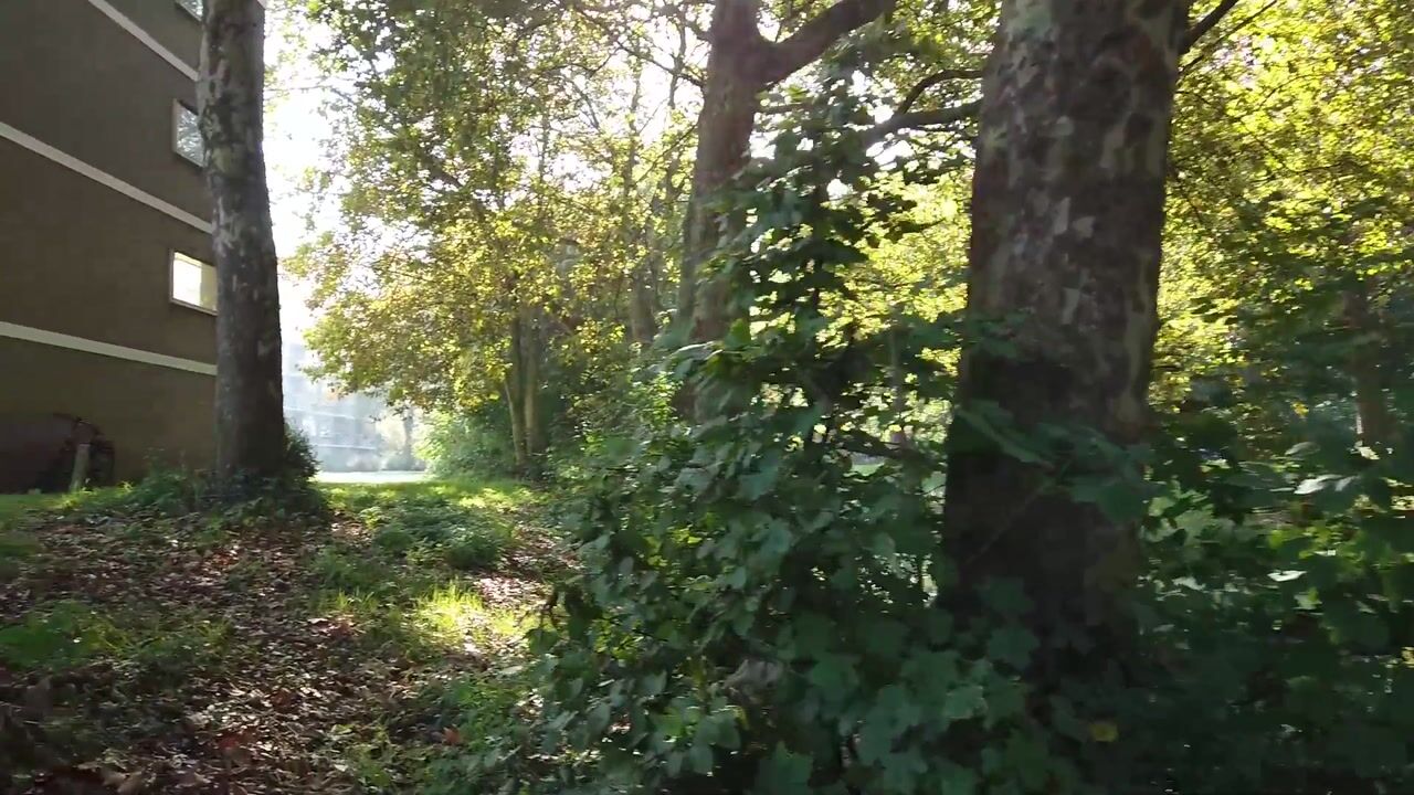 Video of Aldenhof 3745
