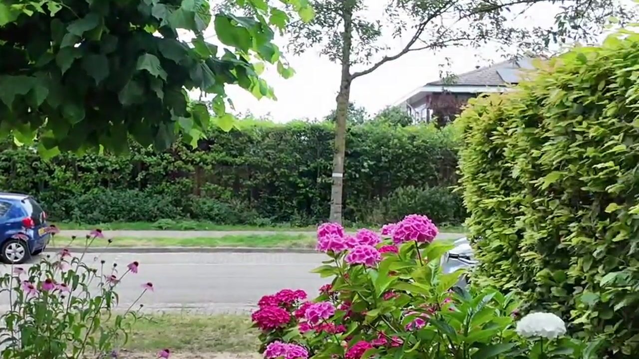Video van De Reit 12