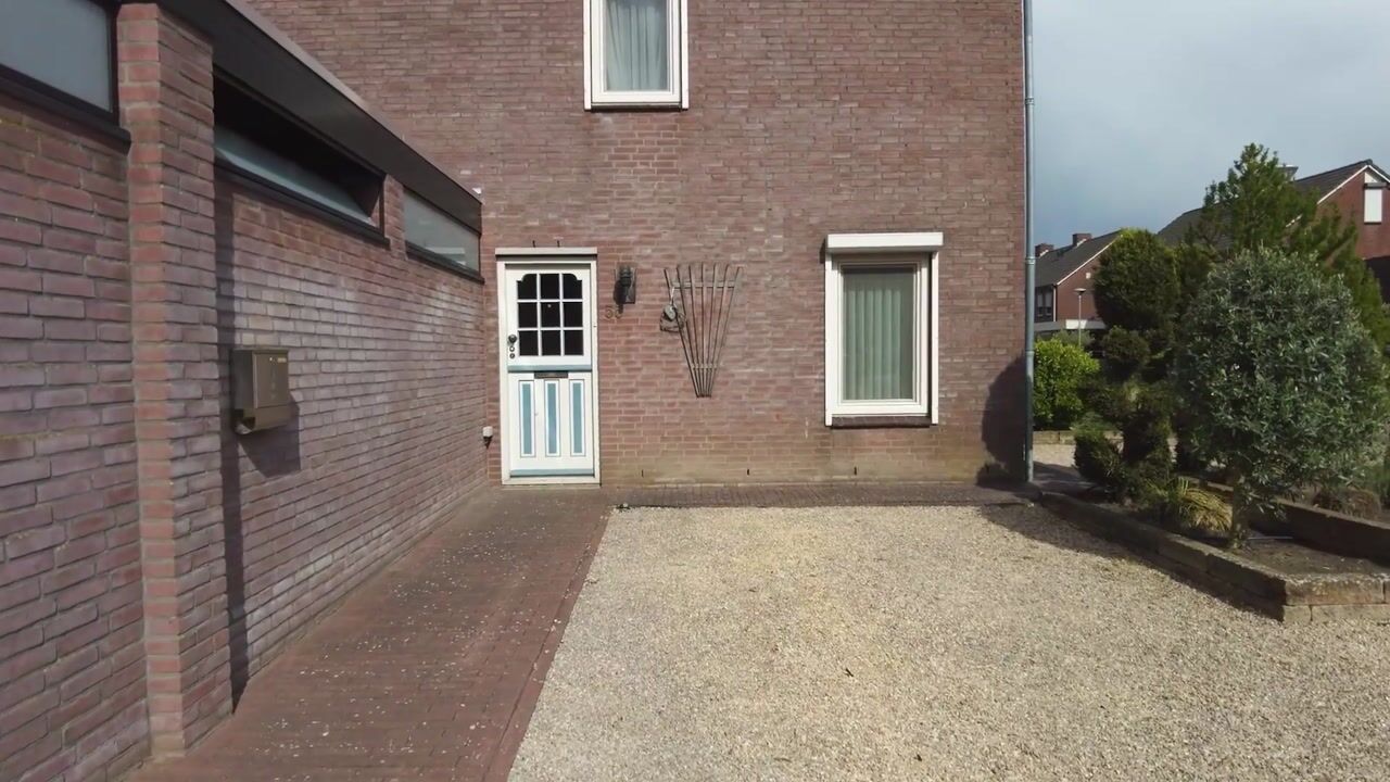 Video van Kamperfoelie 55