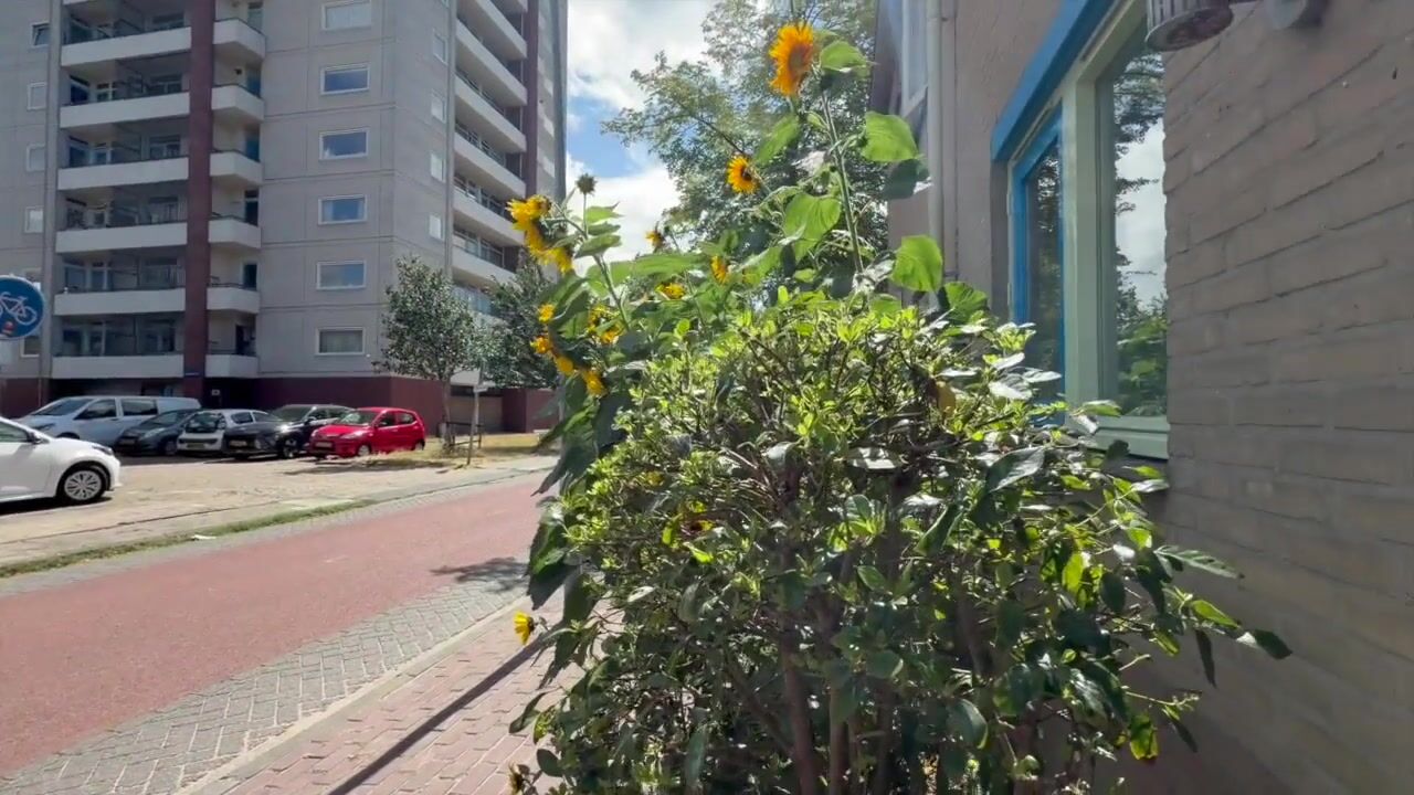 Video van Venkelstraat 12