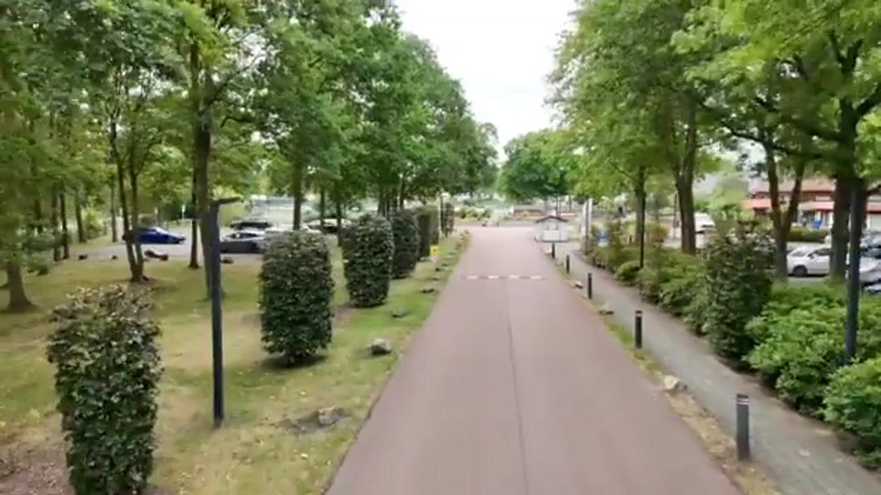 Video of Hommelweg 2-R412