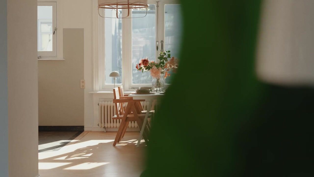 Video of Maaskade 136-C03