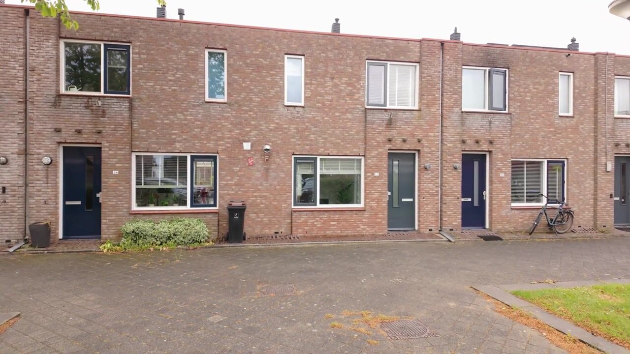 Video van Zeedistel 57