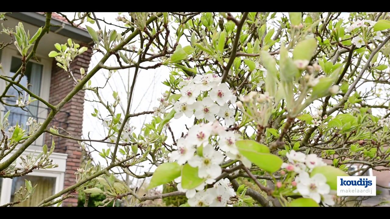 Video of Heemskerklaan 78