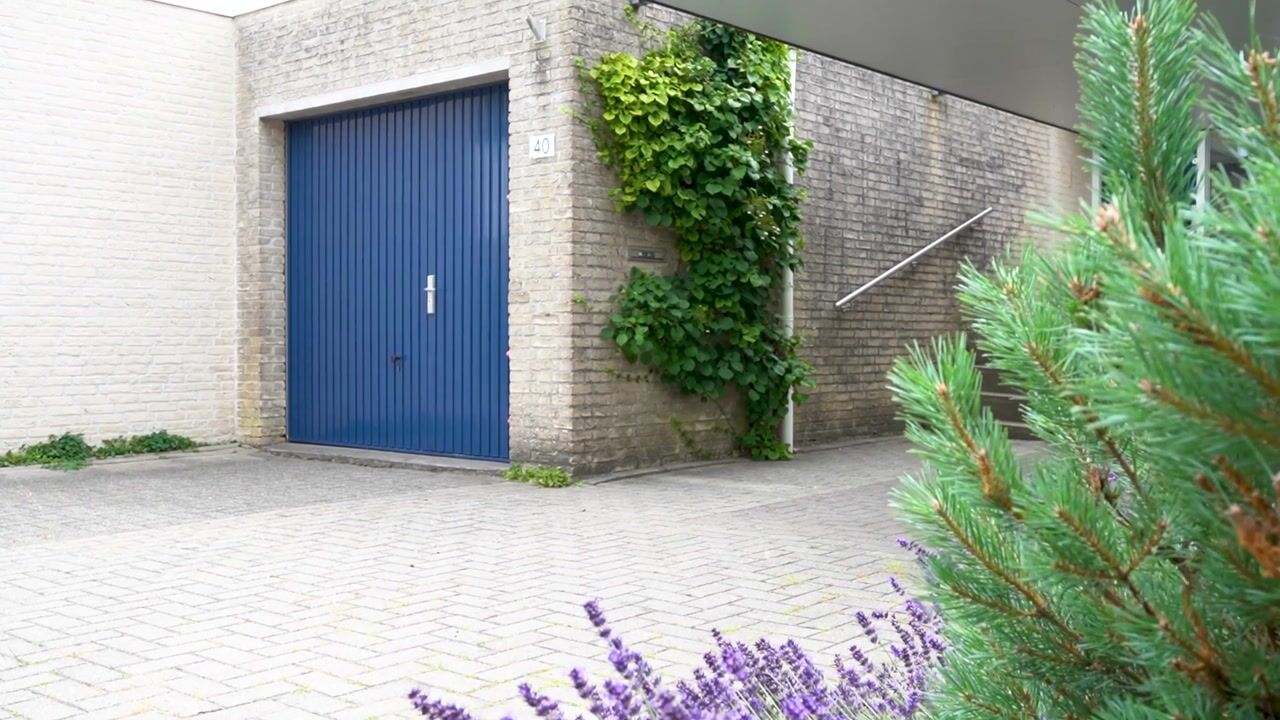 Video van David Spanjarstraat 40