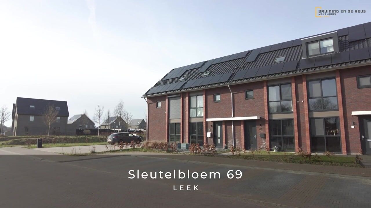 Video of Sleutelbloem 69