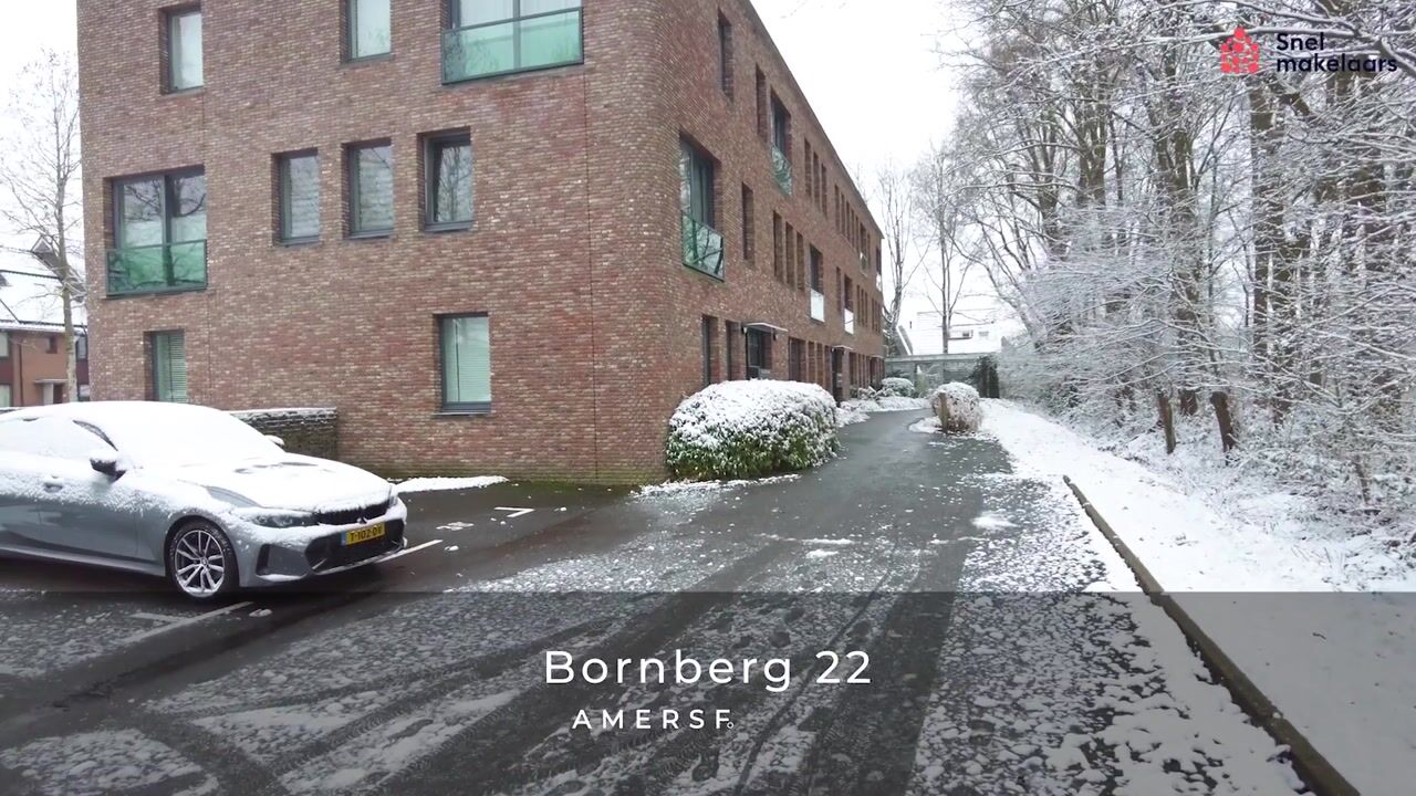 Video of Bornberg 22