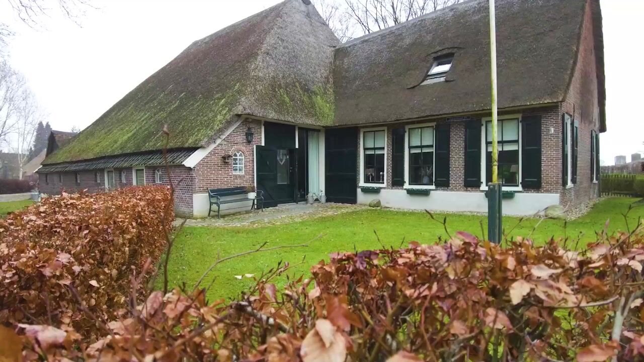 Video van Asserstraat 93