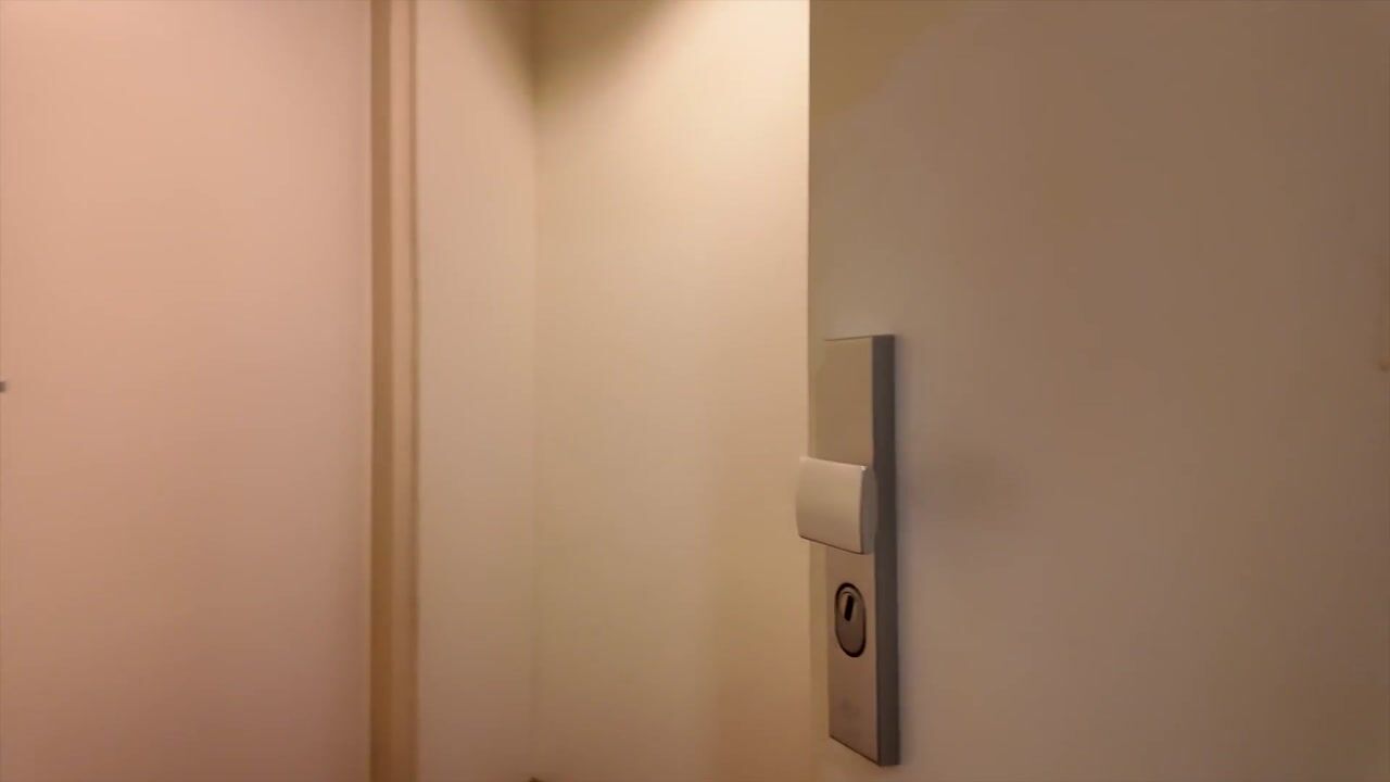 Video of Schinkelstraat 29