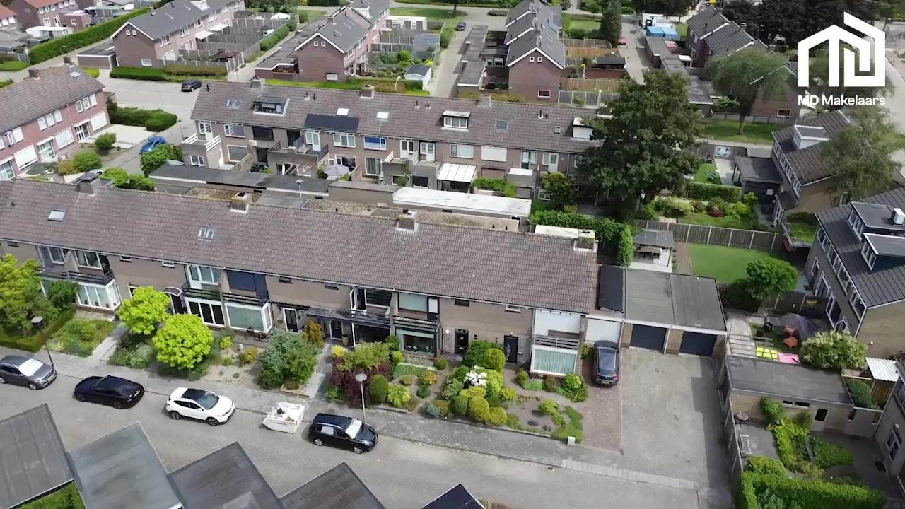 Video van Leuvenhoek 11