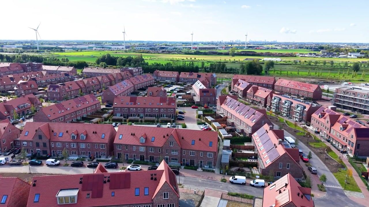 Video van Mahoniehout 80