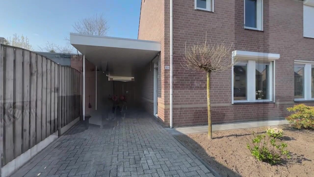 Video of Sleutelbloem 48