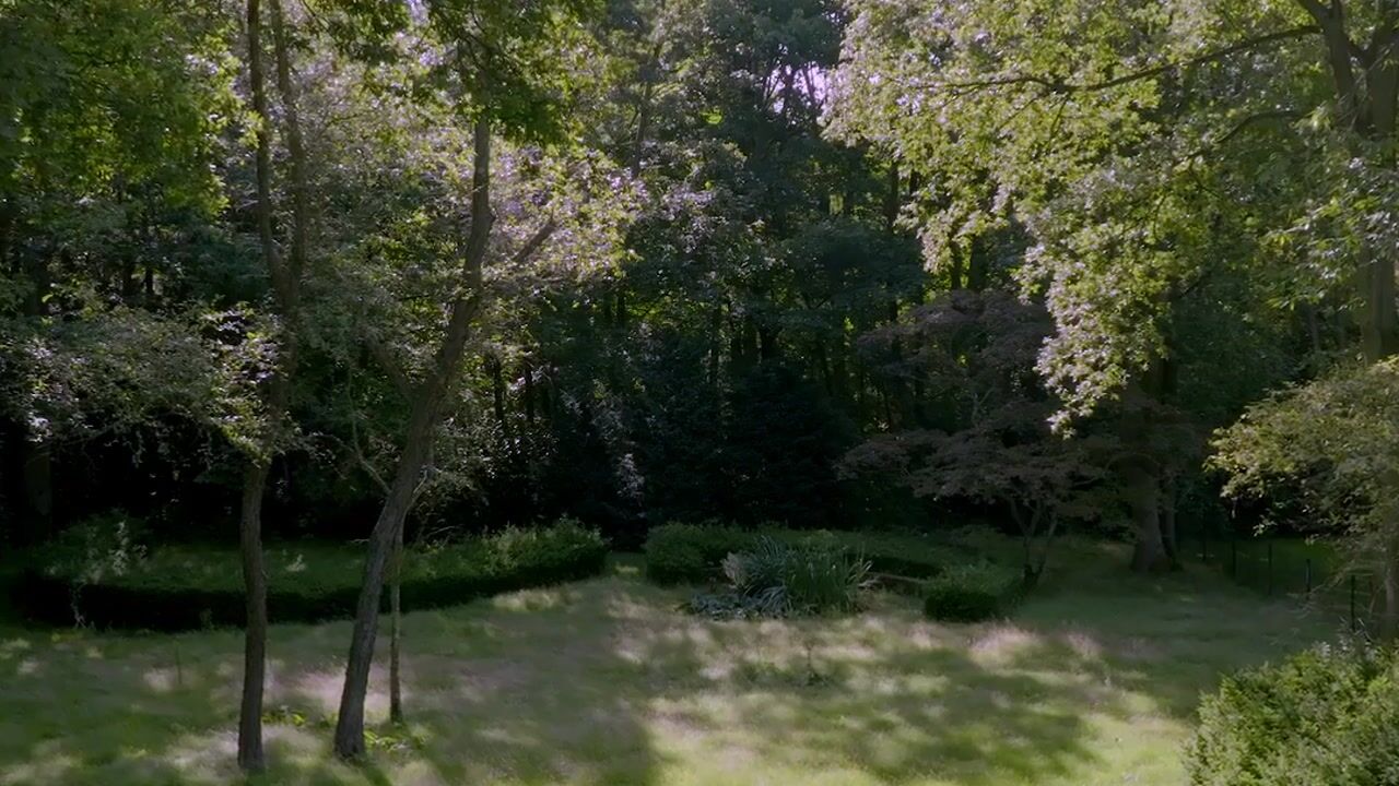 Video van Schouwweg 65-A