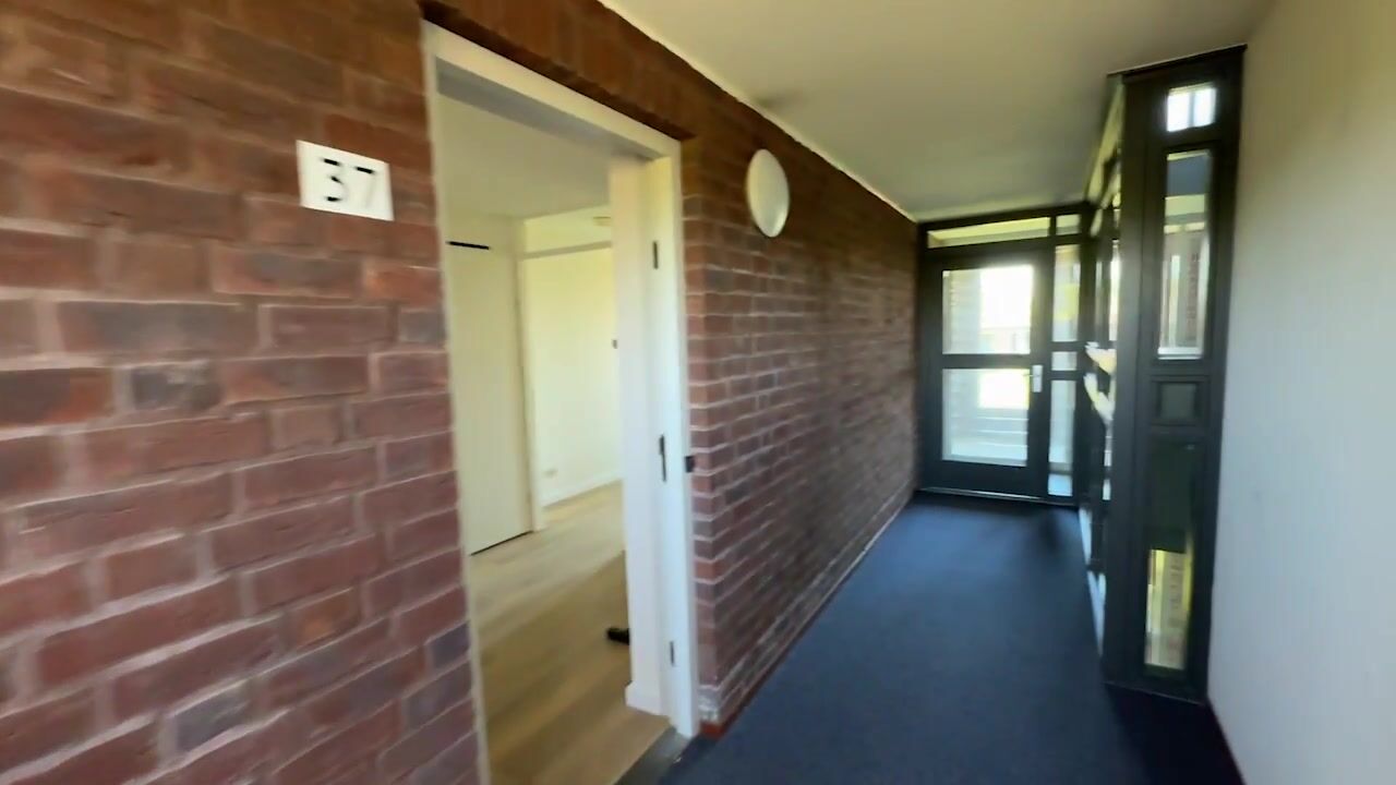 Video of Jerusalem 37