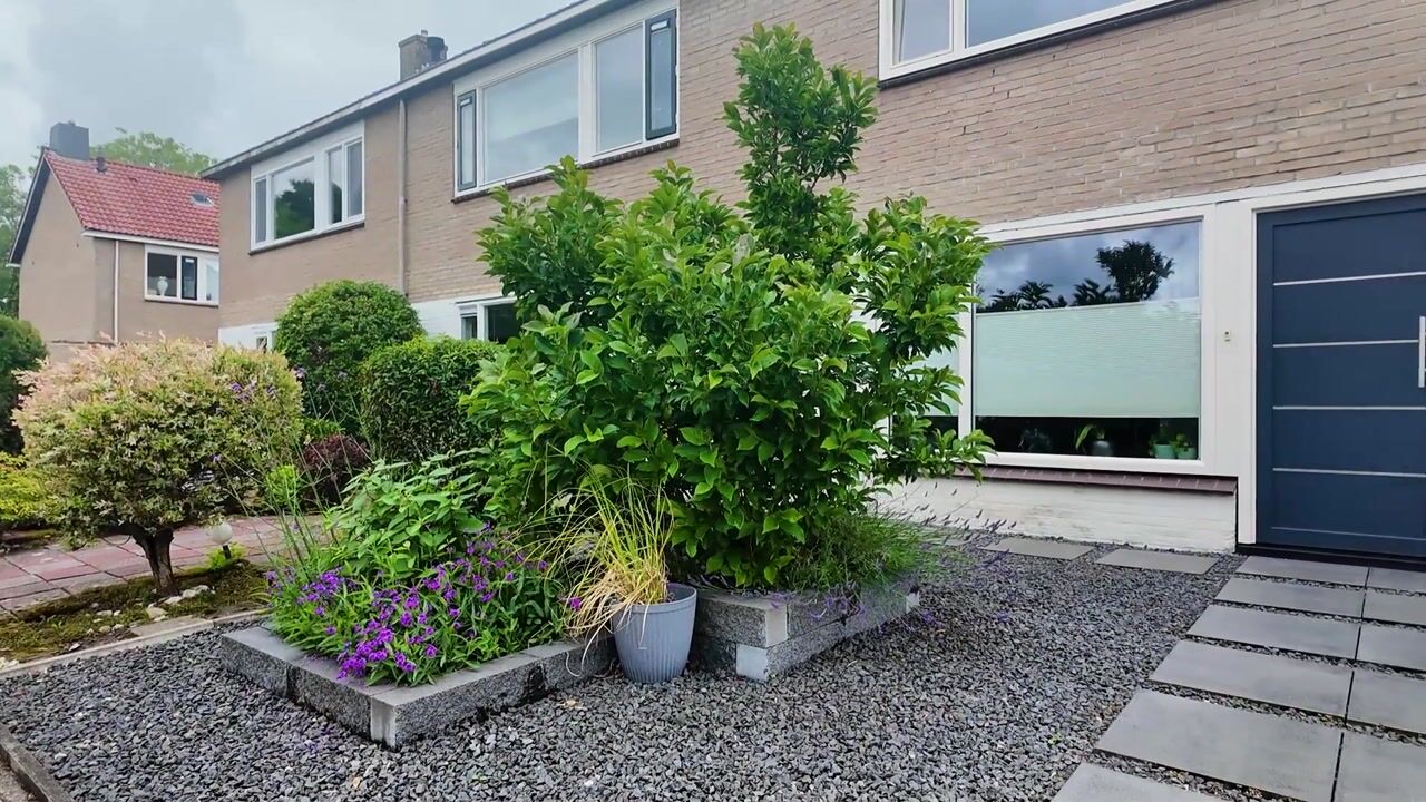 Video van Middelwyk 224