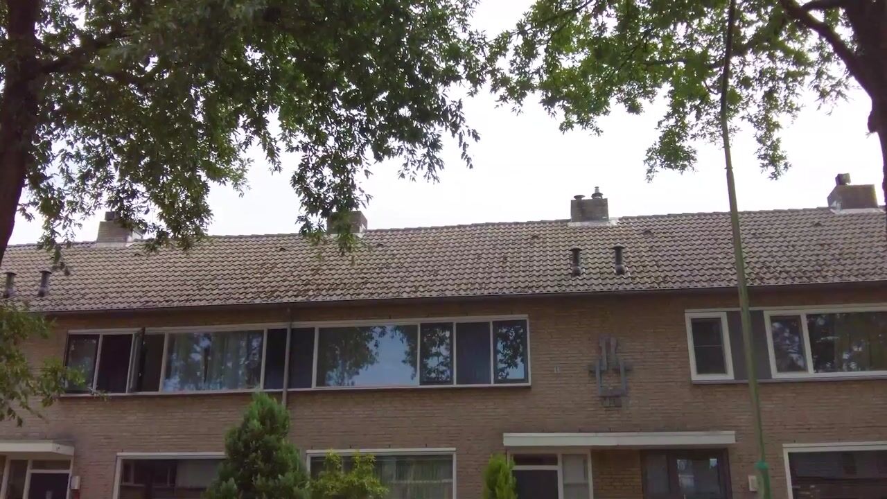 Video van Alsemlaan 34