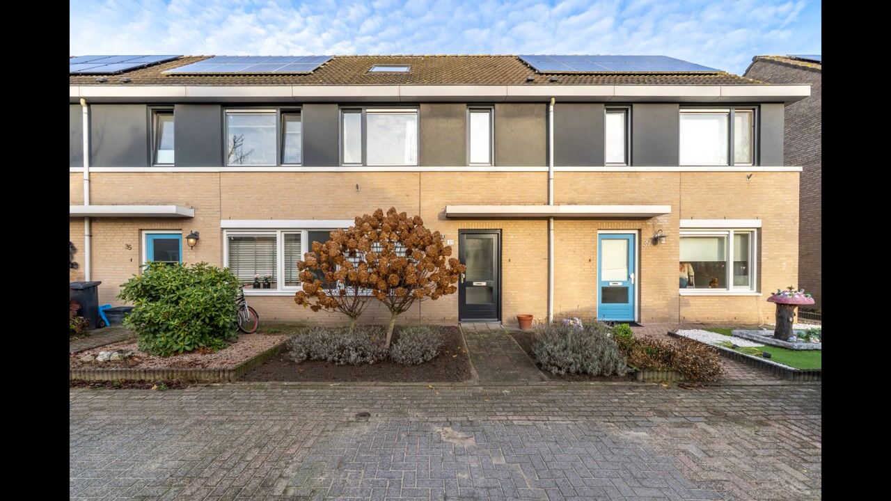 Video van Wolfskers 37