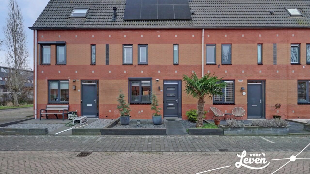 Video van Dikkertje Dap 61