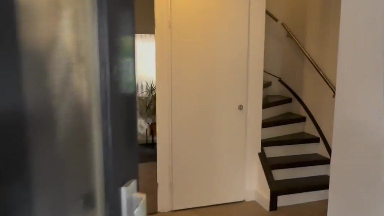 Video van Schout Crillaertstraat 9