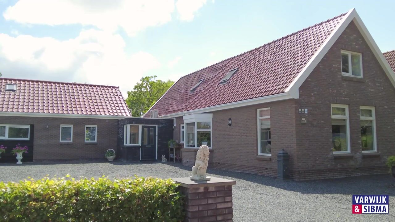 Video van Folgerster Loane 80
