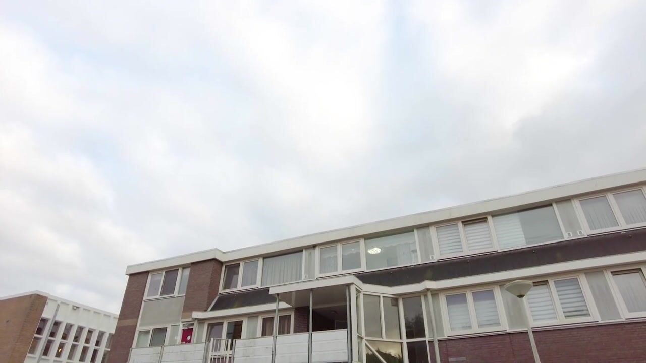 Video of Vrijburg 13