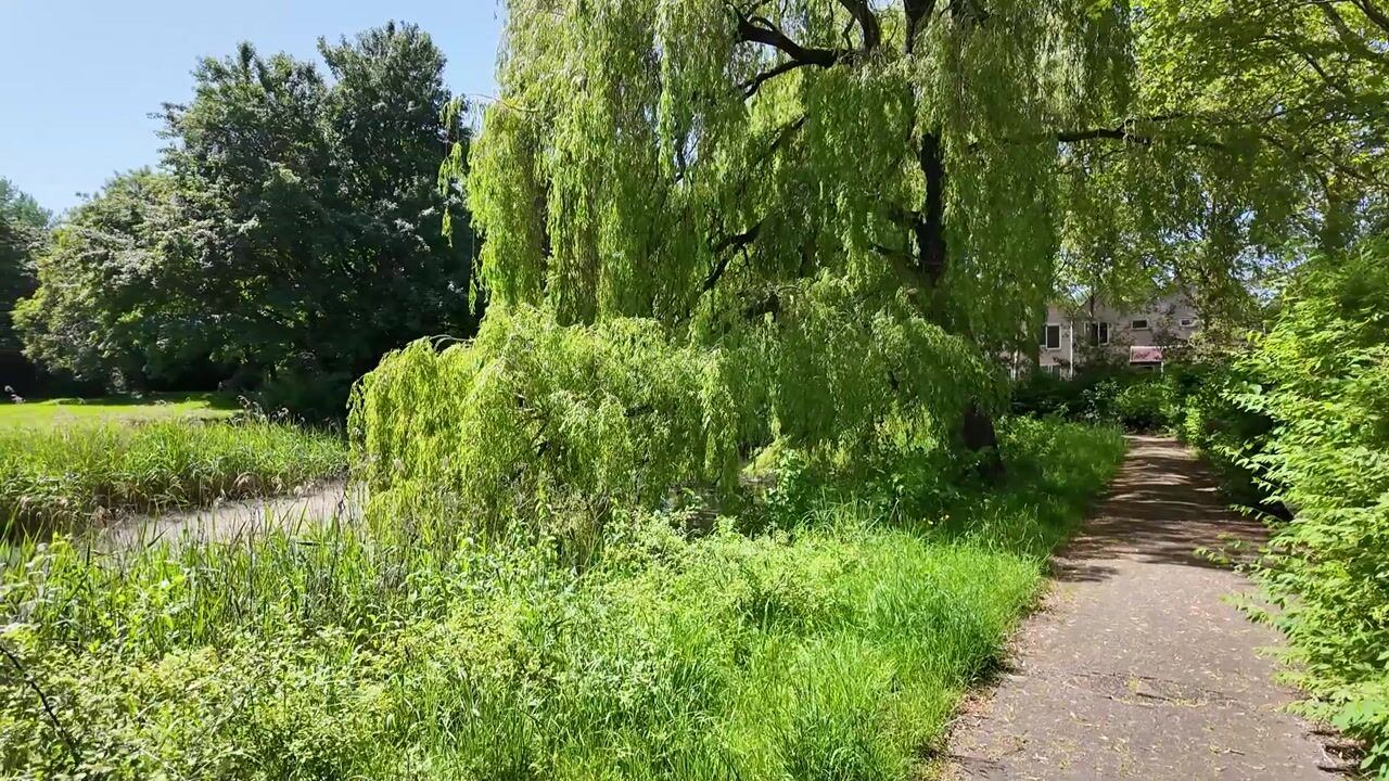 Video van Akeleiweg 152