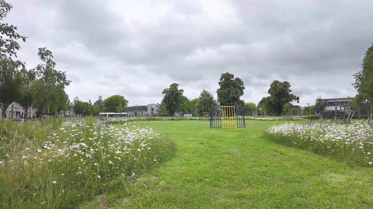 Video of Het Kasteel 730