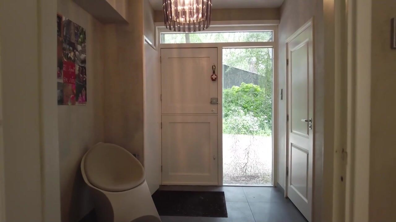 Video of Bosweg 16