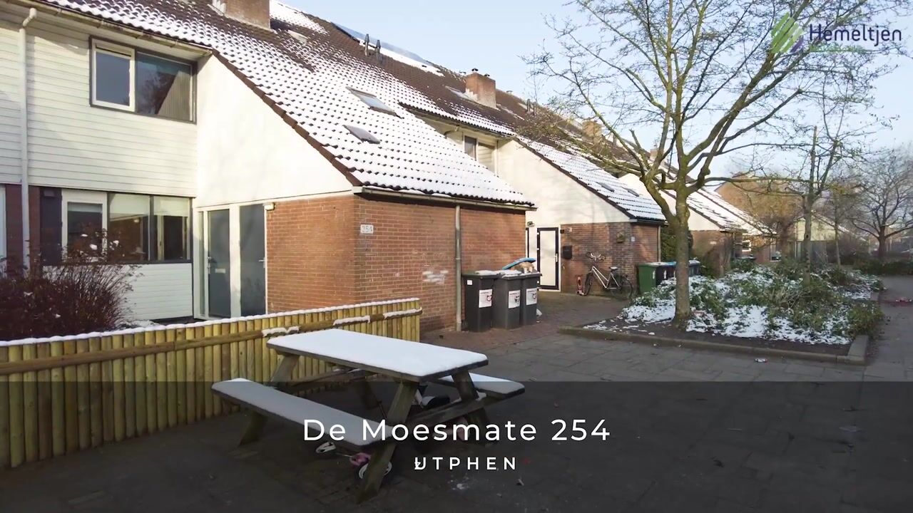 Video van De Moesmate 254