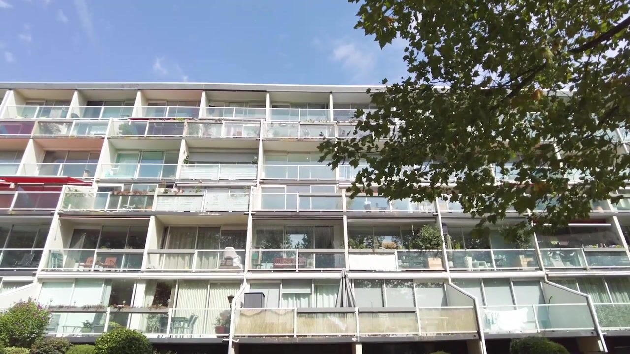 Video van Dillenburg 264