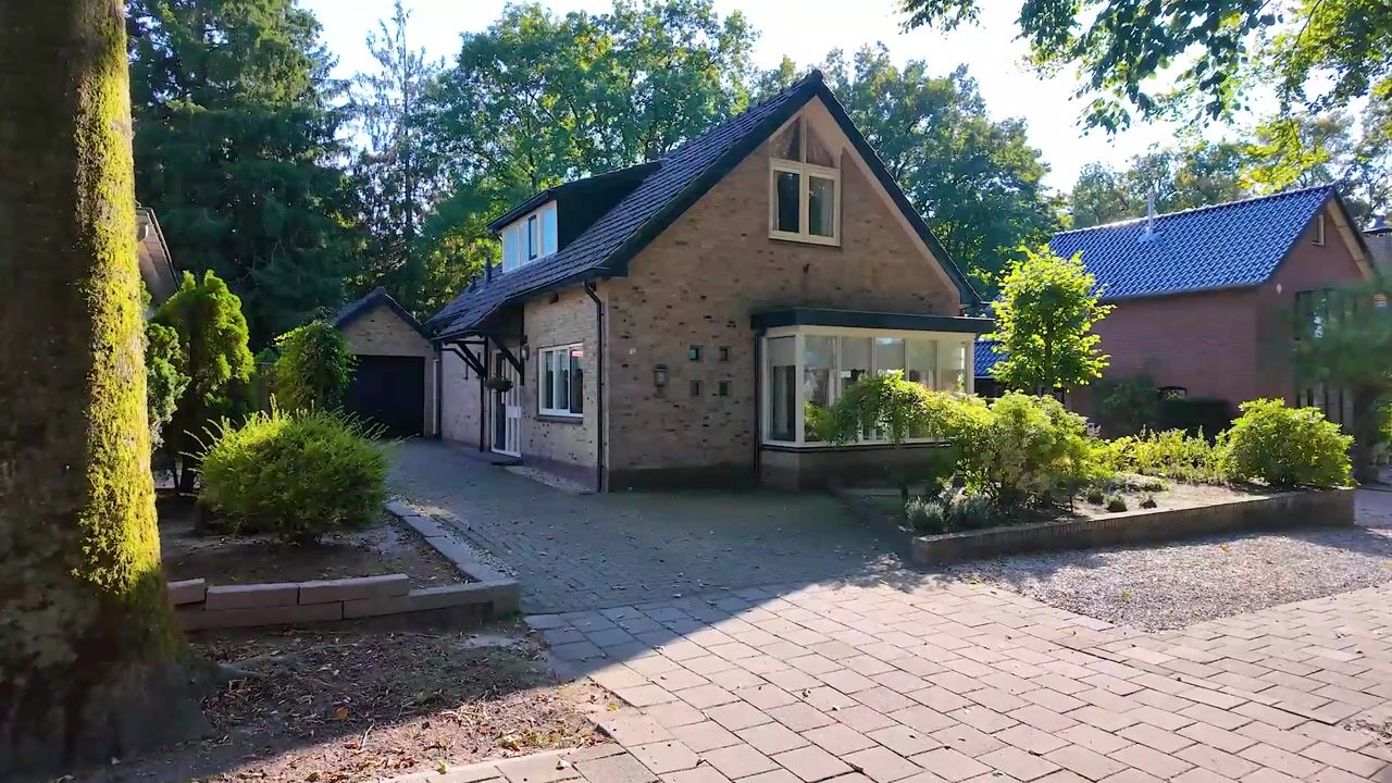 Video of Papenberg 8