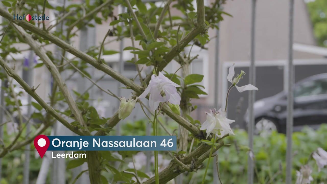 Video van Oranje Nassaulaan 46