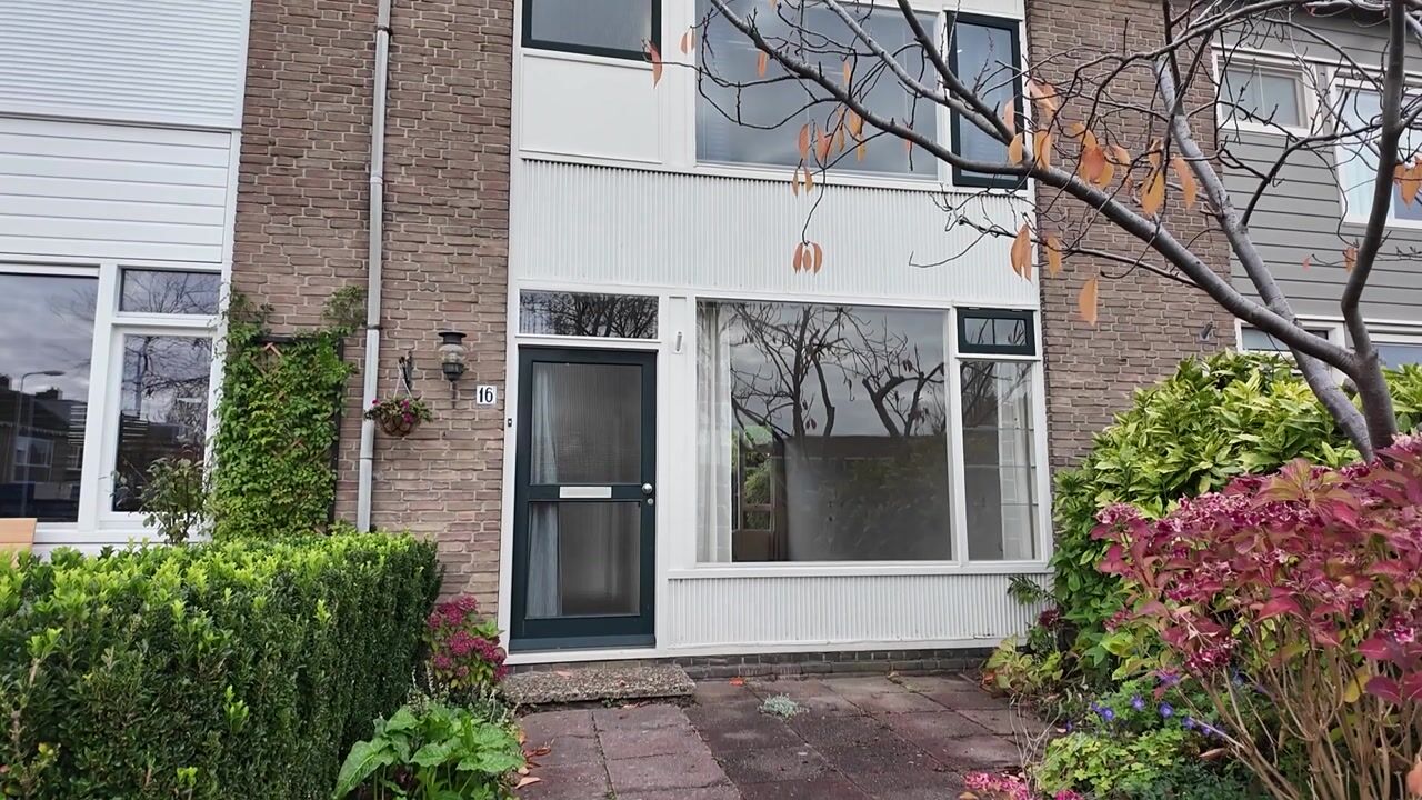 Video of Professor Van der Waalslaan 16