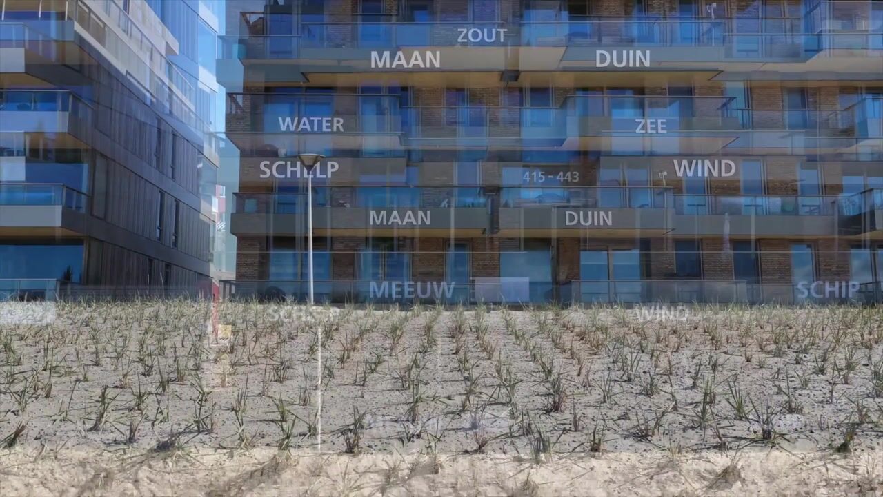 Video van Houtrustweg 419