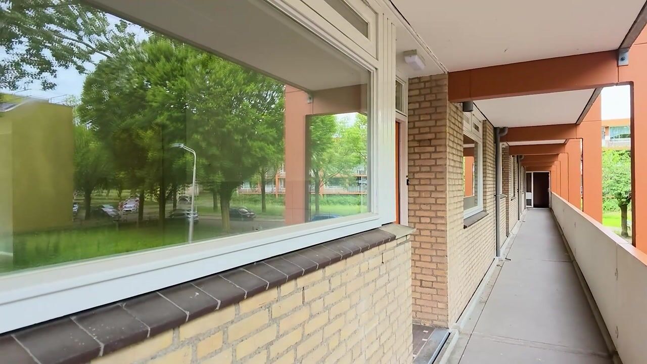 Video van Meijhorst 3134