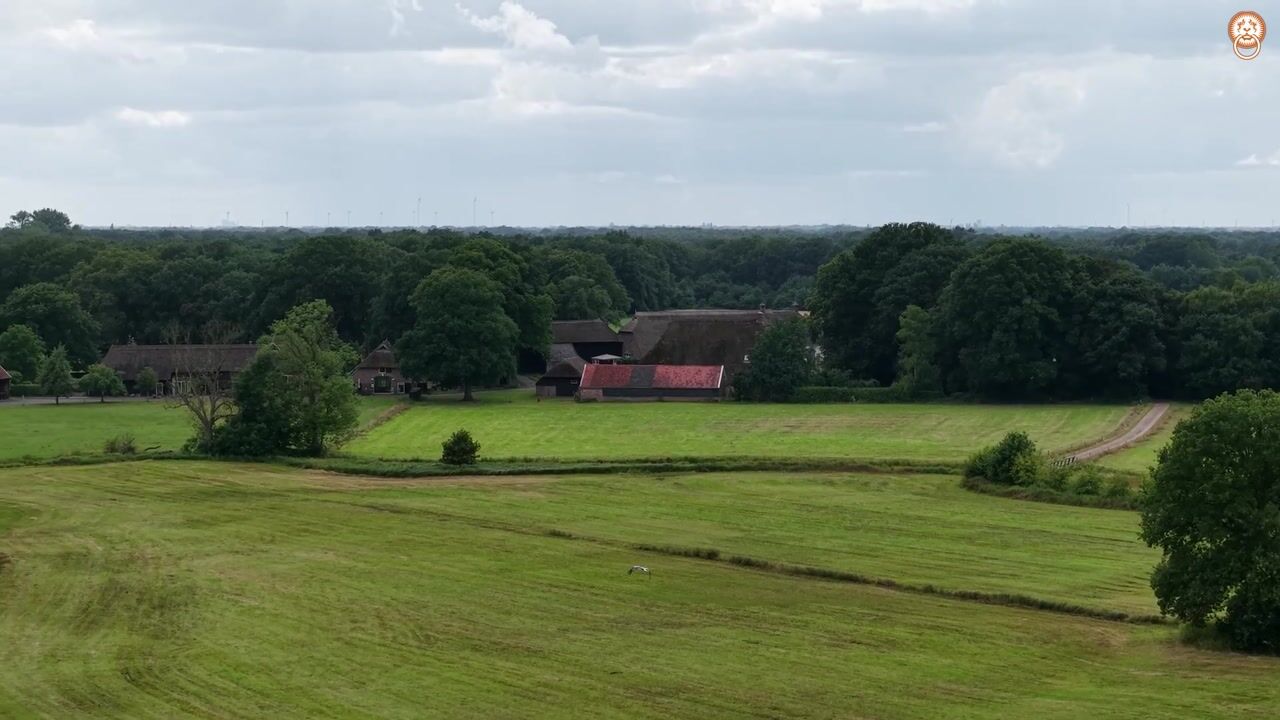 Video of Den Huizen 6