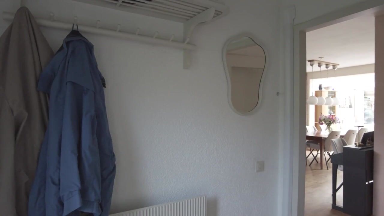 Video of Fazantenveld 114